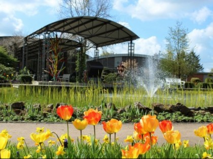 Foto: Blumenhalle